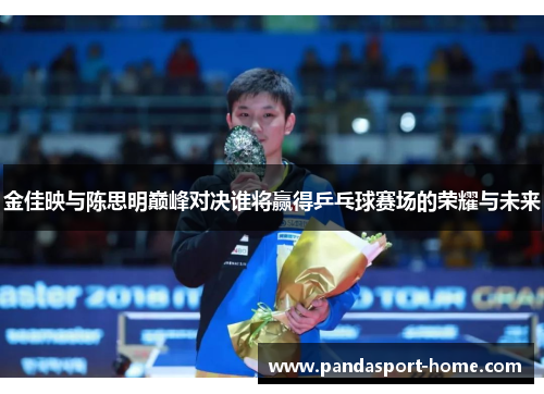 金佳映与陈思明巅峰对决谁将赢得乒乓球赛场的荣耀与未来